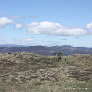 Mount Buller to Mount Stirling