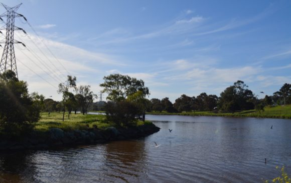 View along the maribyrnong river in Ascot Vale