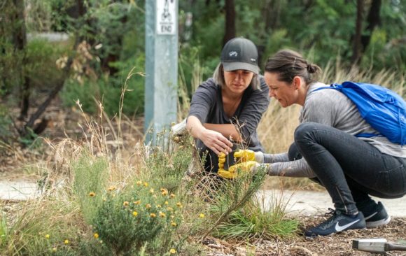 Reinvigorating the green surrounds of an iconic Melbourne creek