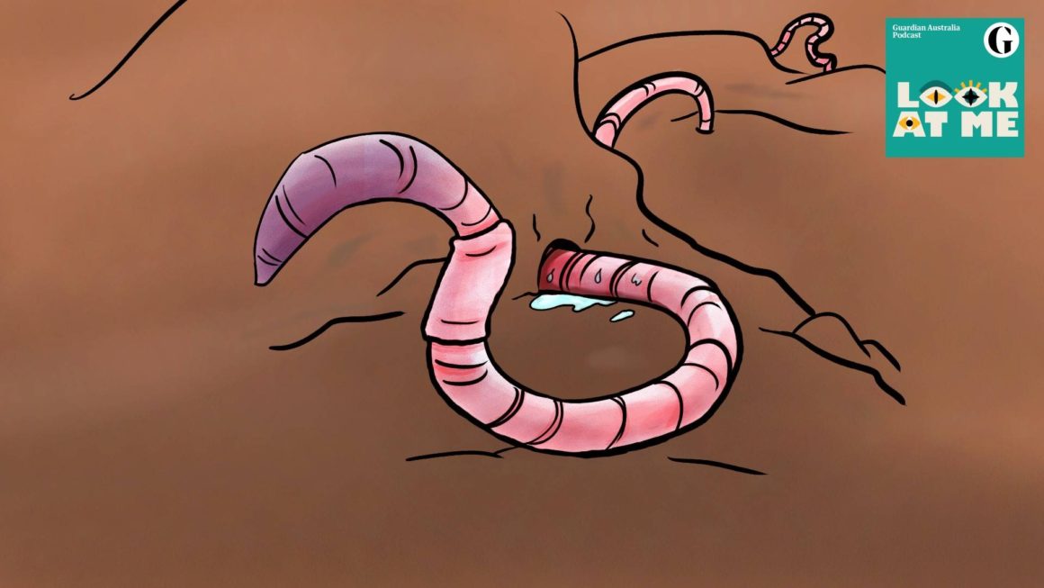 Giant Gippsland Earthworm cartoon