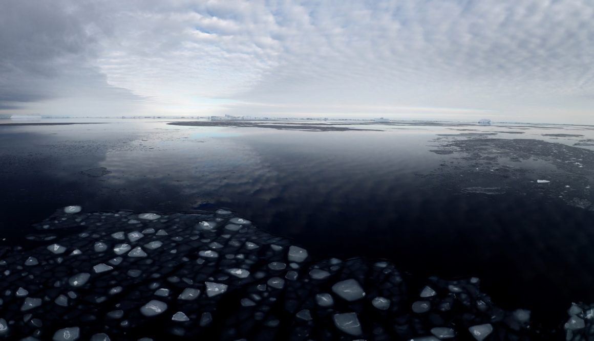 Broken sea ice floating in a vast expanse of deep blue-grey sea