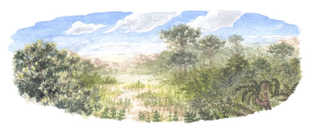 The landscape of the mighty Koolasuchus. Original illustration by Cameron Brideoake.