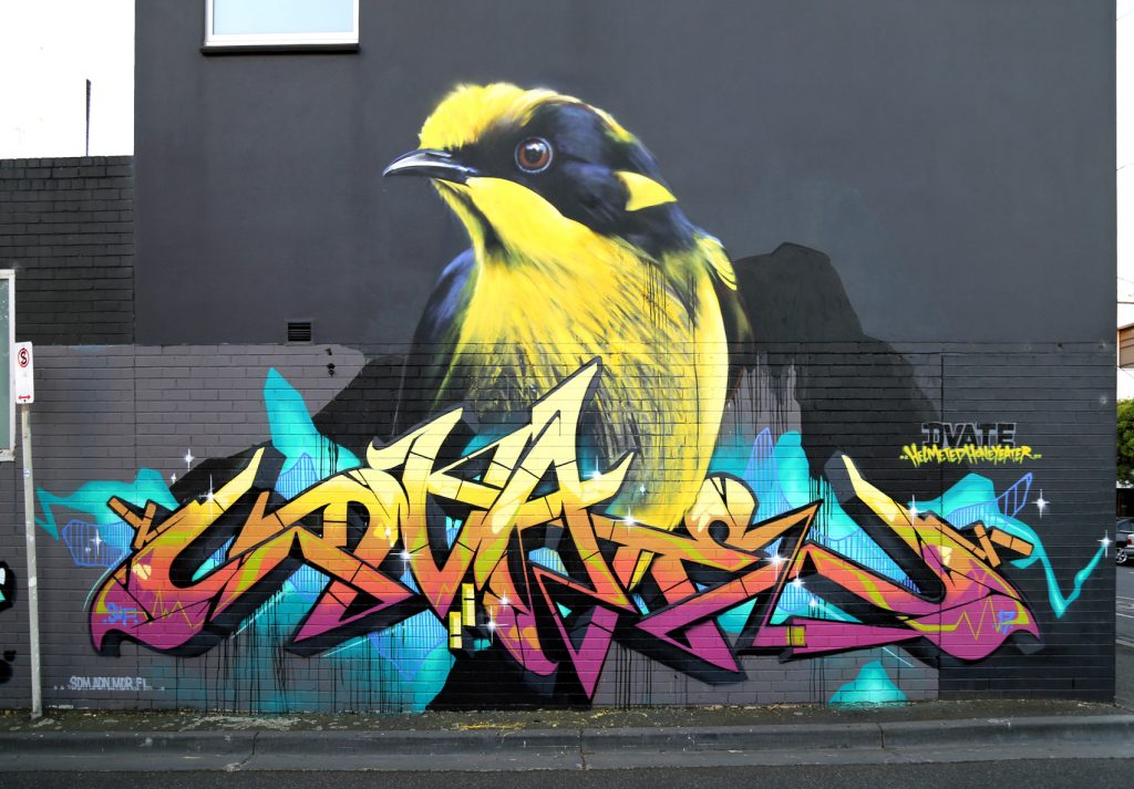 A mural featuring the critically endangered Helmeted Honeyeater, along with some more traditional graffiti elements. 