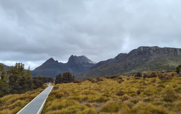 A road stretching through Cradle Park, Tasmania