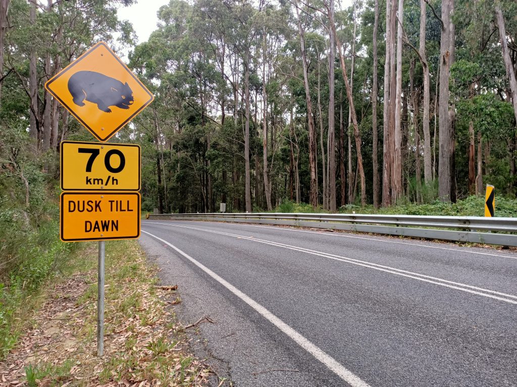 road signs are one method of attempting to reduce roadkill