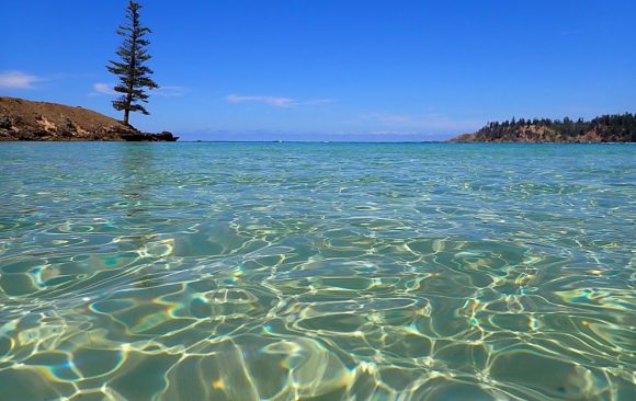 Playing the long game: Norfolk Island’s coral reef and lagoons