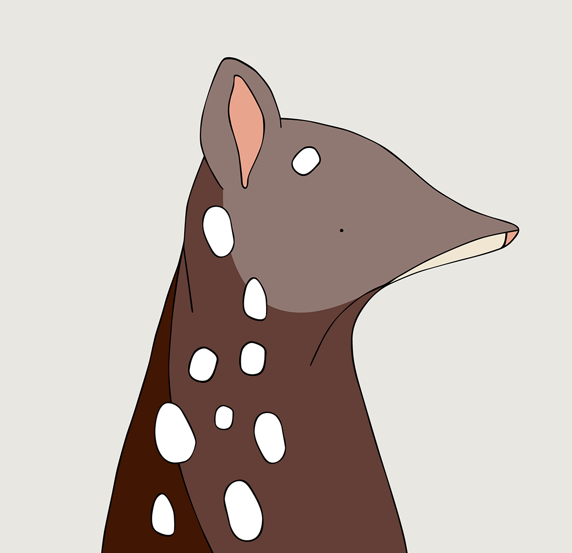 Spotted-tailed Quoll illustrated by eggpicnic